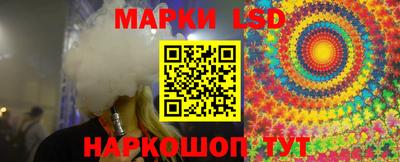 дмт Бердск