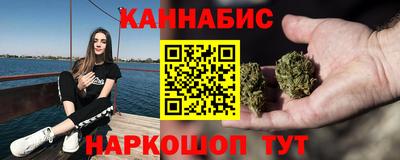 дмт Бердск