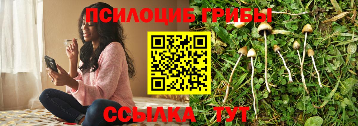 Псилоцибиновые грибы мицелий  что такое   Баксан  Вход с VPN  Псилоцибиновые грибы ЛСД 